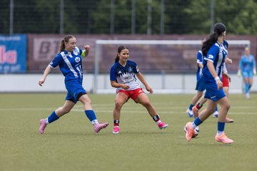 Bild 325 - wBJ Hamburger SV - FC Suederelbe : Ergebnis: 9:0